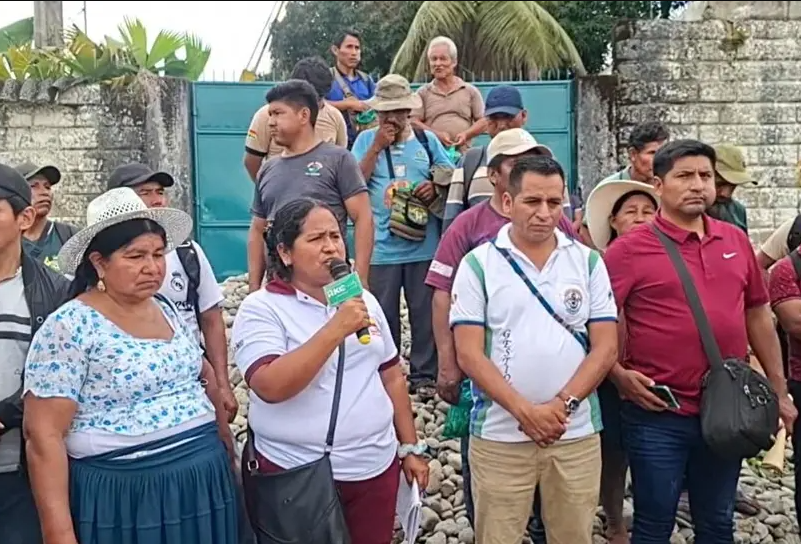 Cocaleros evistas denuncian paralización de la racionalización de la coca y declaran estado de emergencia